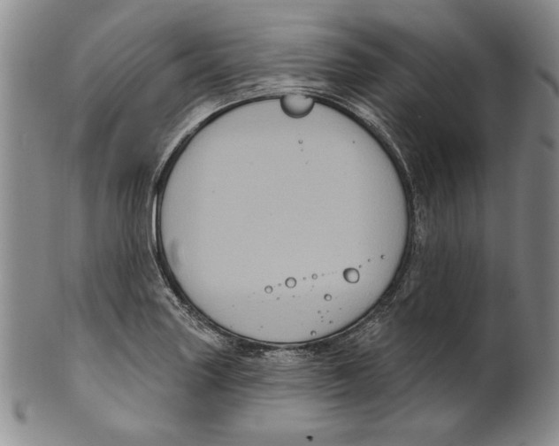 X0000101971227200808081543