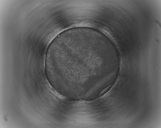 X0000101971228200808081543