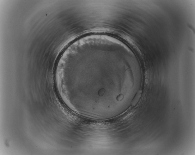 X0000101971229200808081543