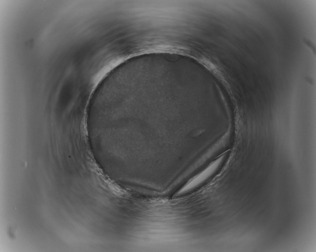 X0000101971230200808081543