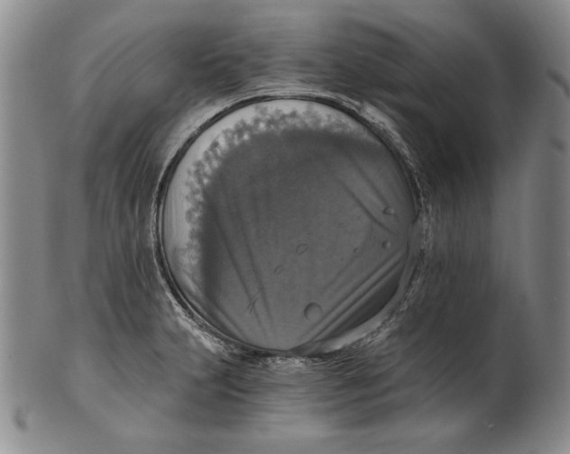 X0000101971231200808081543