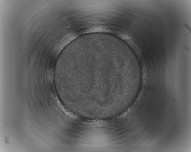 X0000101971233200808081544