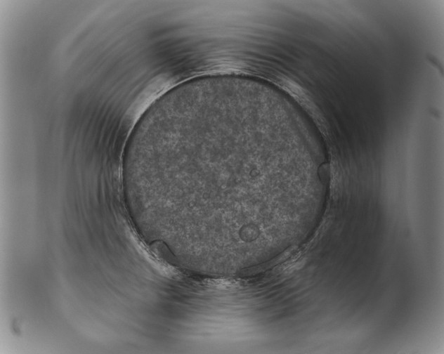 X0000101971234200808081544