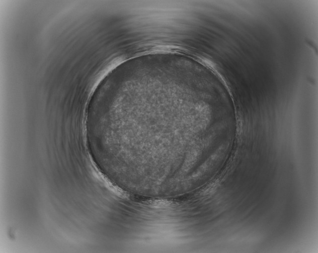 X0000101971235200808081544