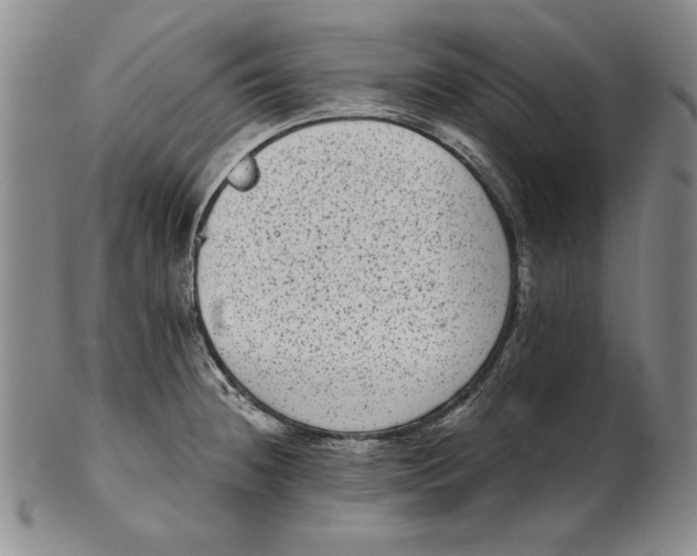 X0000101971236200808081544