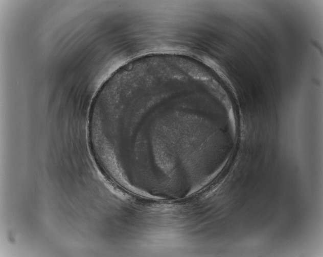 X0000101971237200808081544