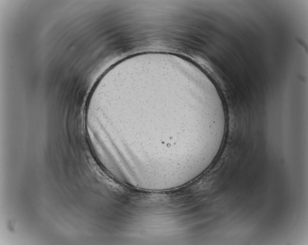 X0000101971238200808081544