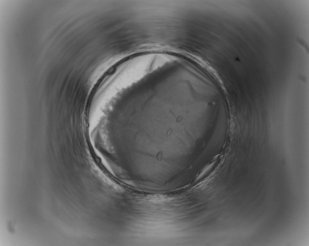 X0000101971239200808081544