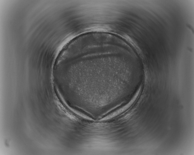 X0000101971240200808081544