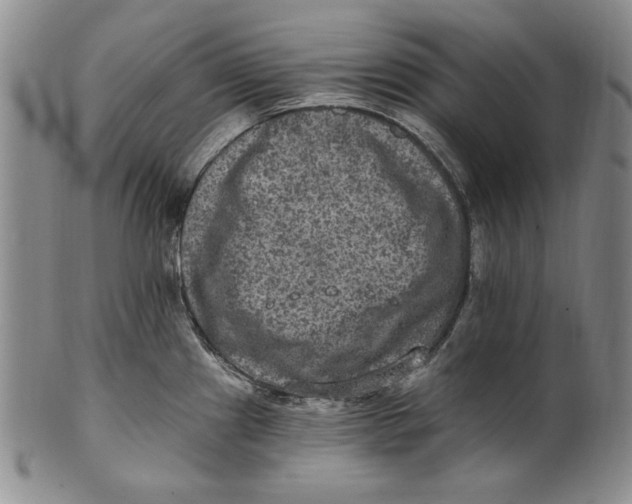 X0000101971241200808081544