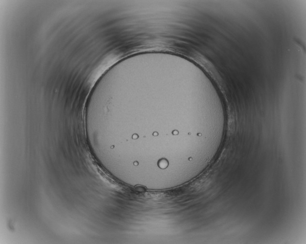 X0000101971242200808081544