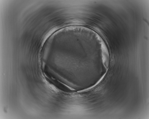 X0000101971243200808081544