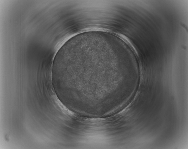 X0000101971244200808081544