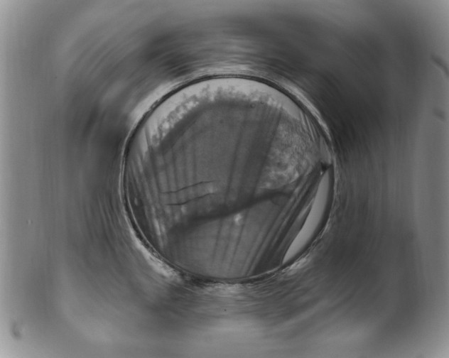 X0000101971245200808081544