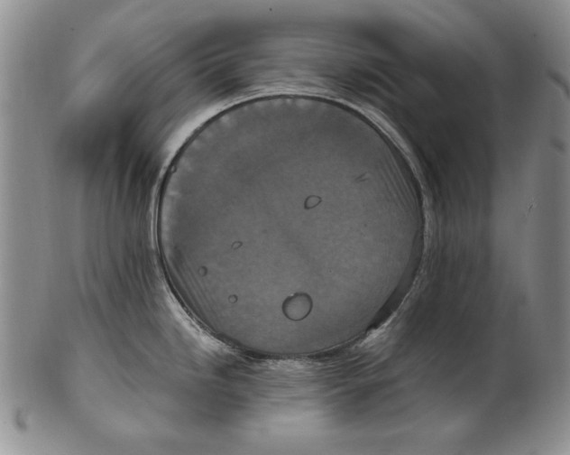 X0000101971246200808081544