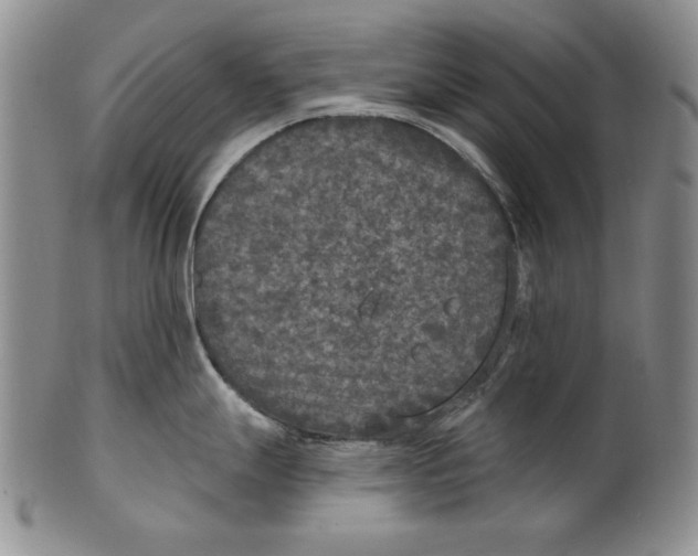 X0000101971247200808081544