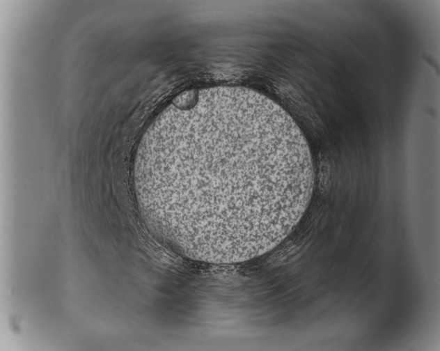 X0000101971249200808081543