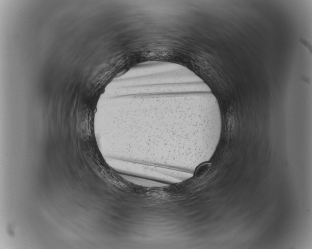 X0000101971250200808081543