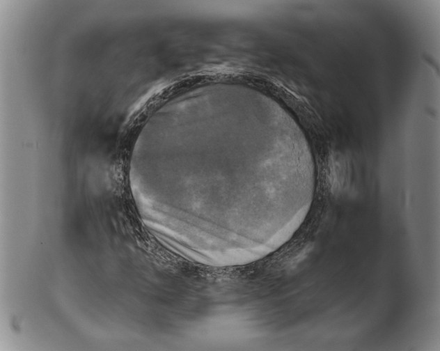 X0000101971254200808081543