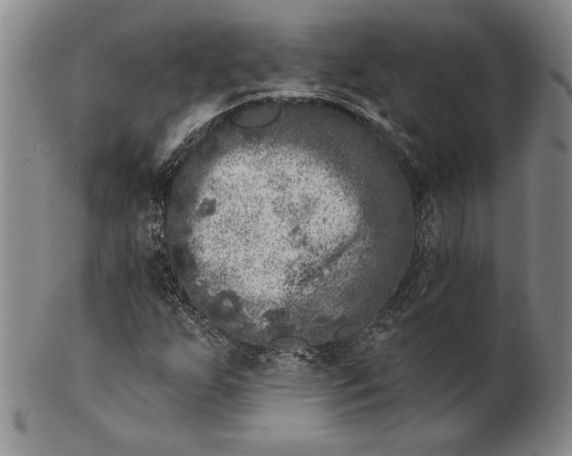 X0000101971255200808081543