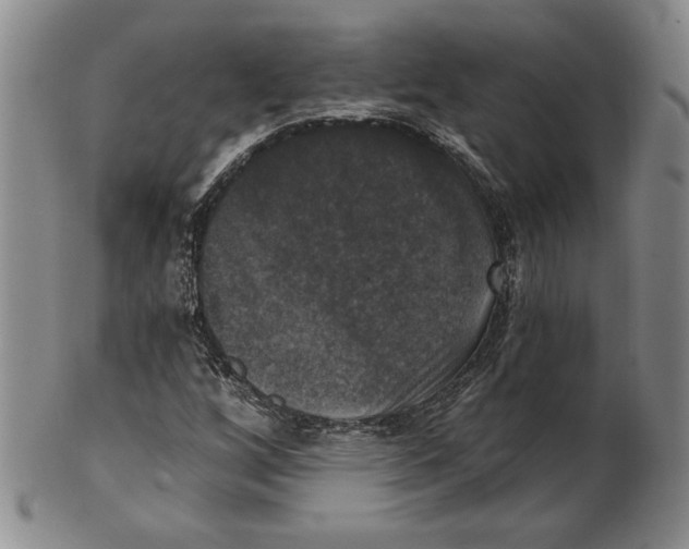 X0000101971256200808081543