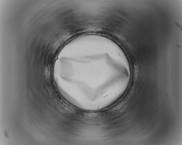 X0000101971257200808081543
