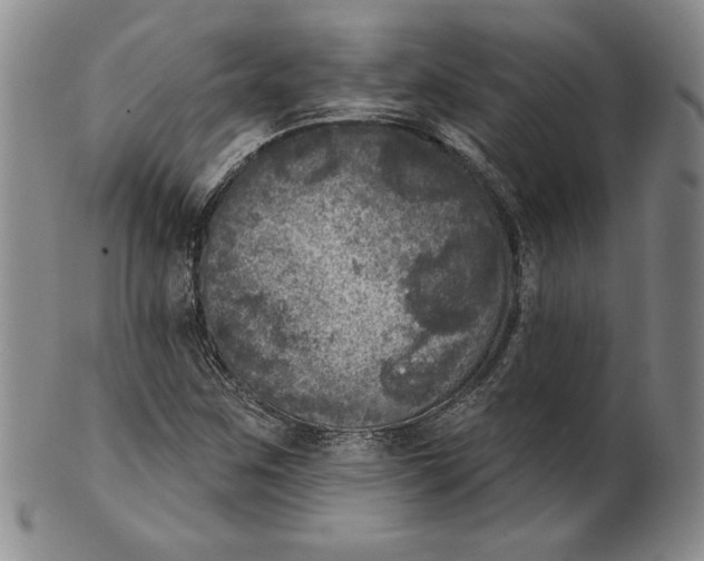 X0000101971259200808081543