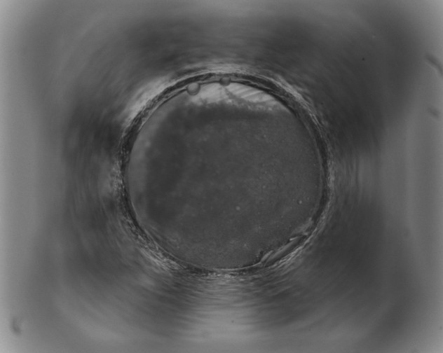 X0000101971263200808081543