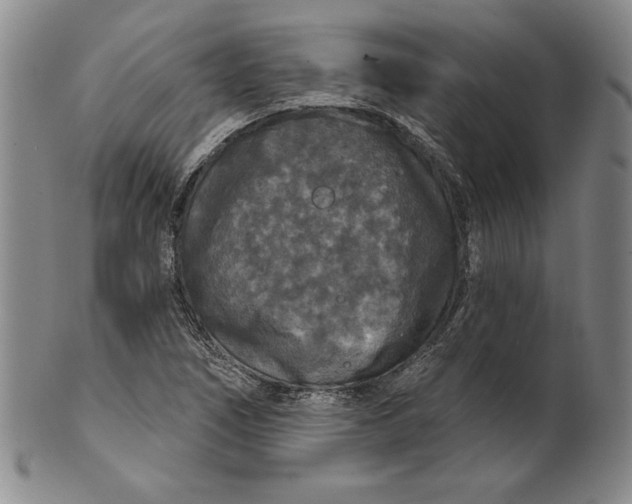 X0000101971266200808081543