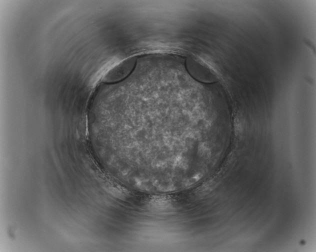 X0000101971267200808081543