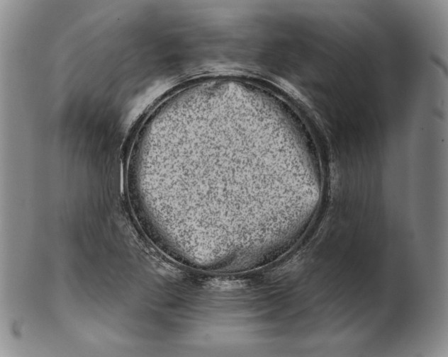 X0000101971269200808081543