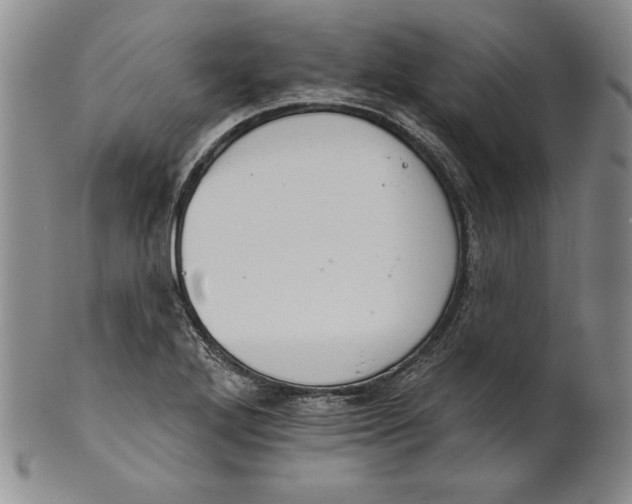 X0000101971272200808081543
