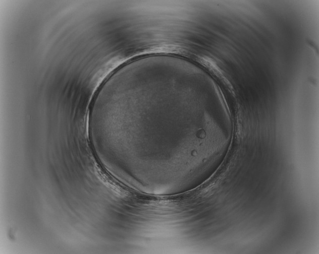 X0000101971276200808081543