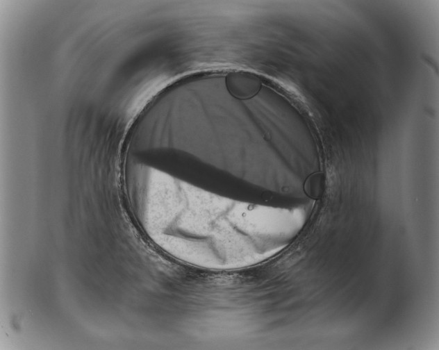 X0000101971279200808081543