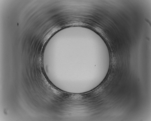 X0000101971282200808081542