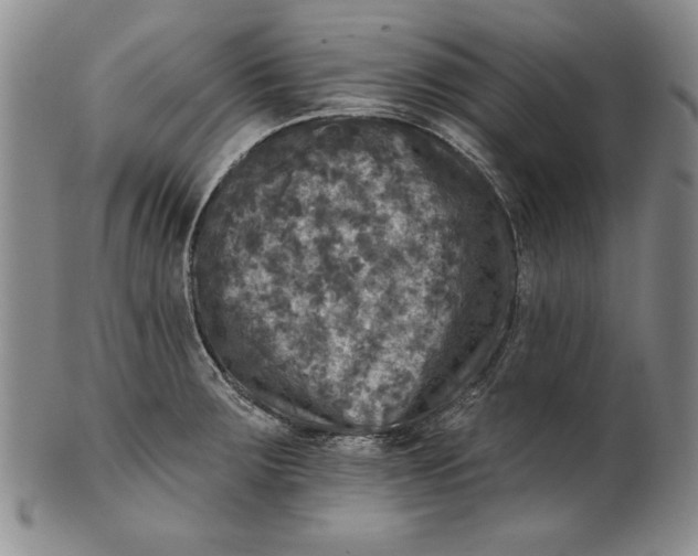 X0000101971283200808081542