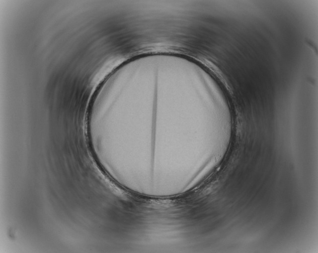X0000101971285200808081542