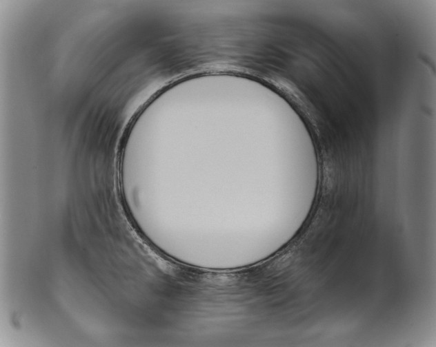 X0000101971286200808081542