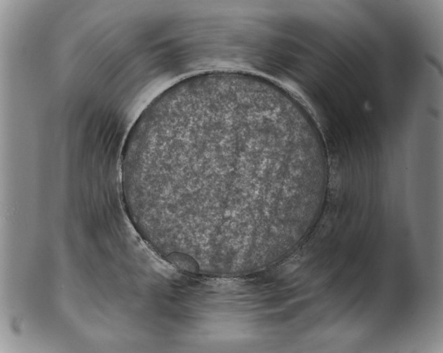 X0000101971287200808081542