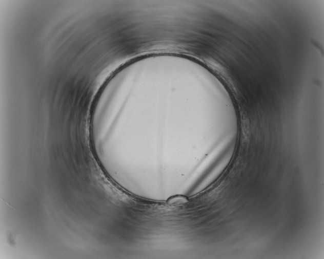 X0000101971288200808081542