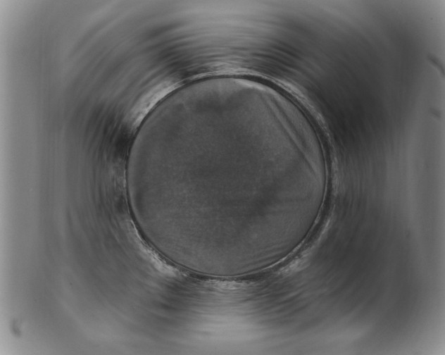X0000101971289200808081542