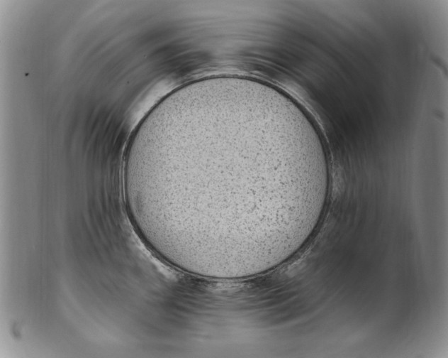 X0000101971290200808081542