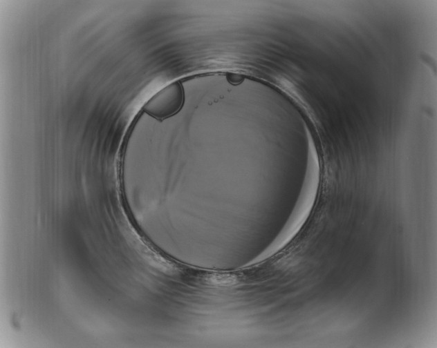 X0000101971291200808081542