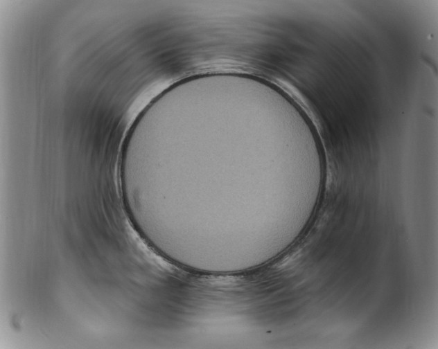 X0000101971293200808081542