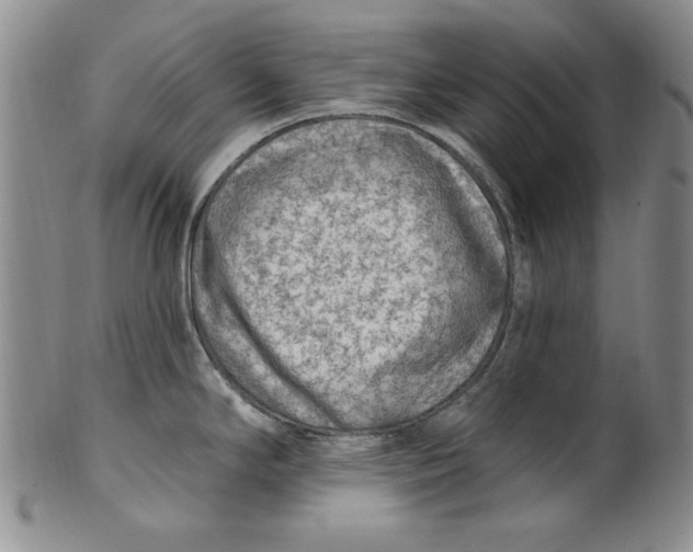 X0000101971294200808081542