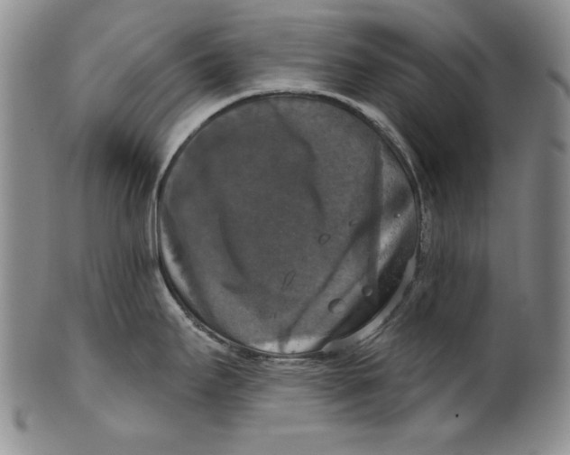 X0000101971295200808081542