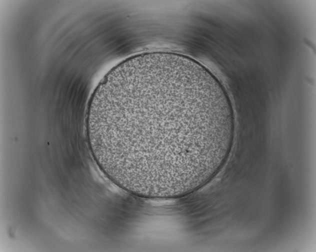X0000101971296200808081542