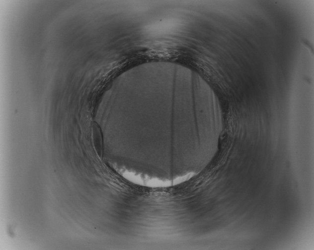 X0000101971297200808081542