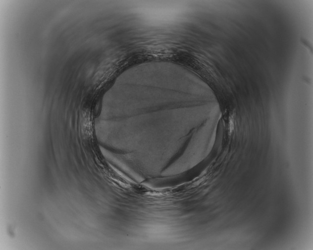 X0000101971298200808081542