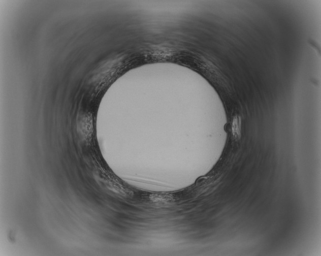 X0000101971299200808081542